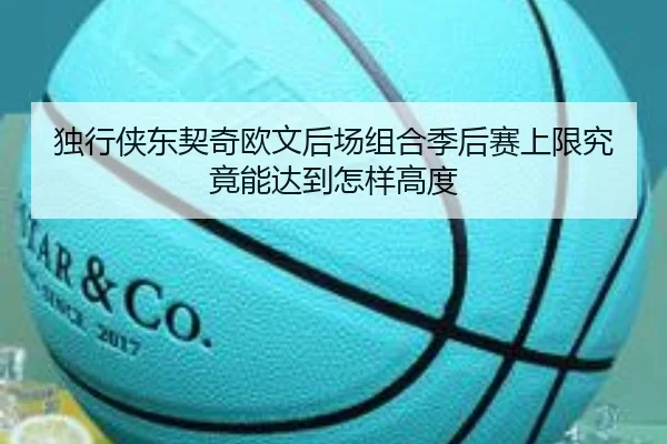 独行侠东契奇欧文后场组合季后赛上限究竟能达到怎样高度
